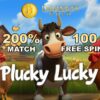 200% Bonus + 100 Free Spins on Plucky Lucky